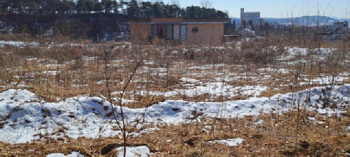 법원경매 2025타경61847 사진9 | 파주시 파주읍 파주리 205-8 전 경매