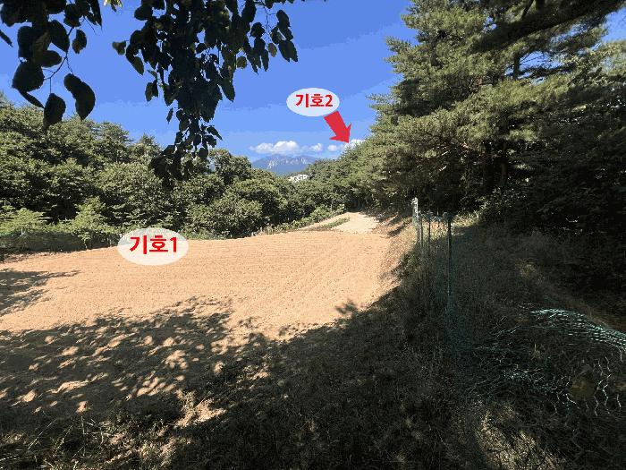 강원특별자치도 속초시 노학동 산80-7 법원경매 물건 대표사진