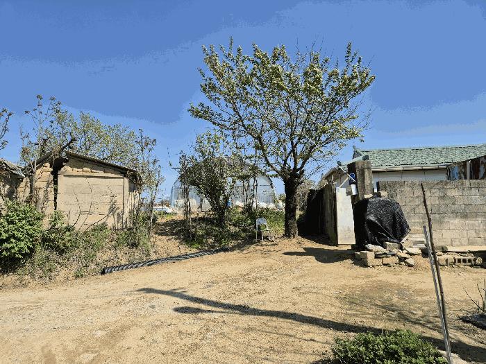 충청남도 아산시 신창면 가덕리 526-2 법원경매 물건 대표사진