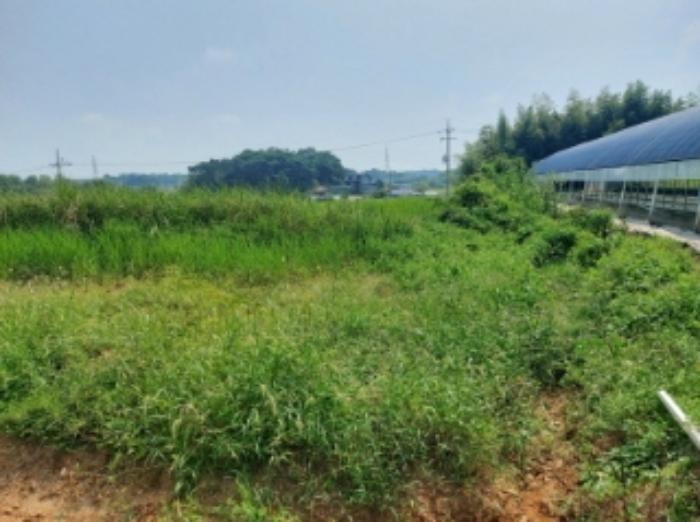 2024타경3461 법원경매 사진34 | 충남 당진시 전 경매