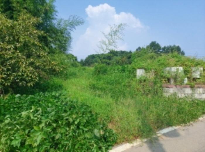 2024타경3461 법원경매 사진45 | 충남 당진시 전 경매