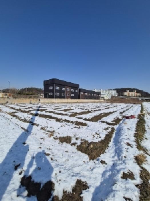 법원경매 2024타경88137 사진2 | 광주 광산구 신촌동 697-6 답 경매