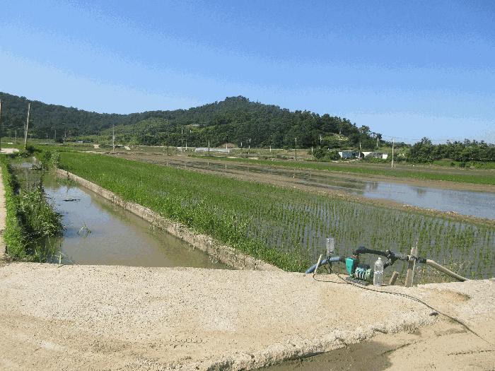 전라남도 영광군 염산면 야월리 905 법원경매 물건 대표사진