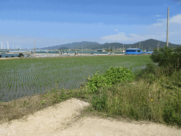 2025타경32949 법원경매 사진2 | 전남 영광군 답 경매