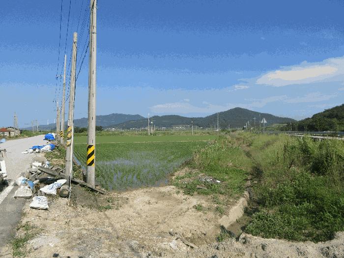 2025타경32949 법원경매 사진4 | 전남 영광군 답 경매