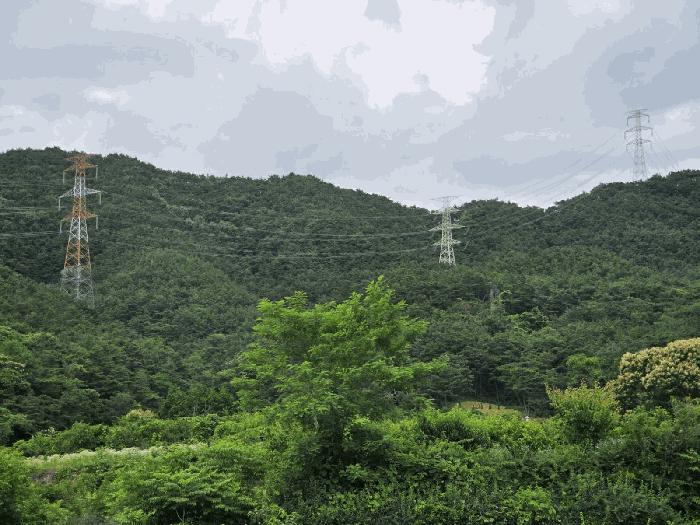 2025타경33033 법원경매 사진3 | 전남 담양군 임야 경매