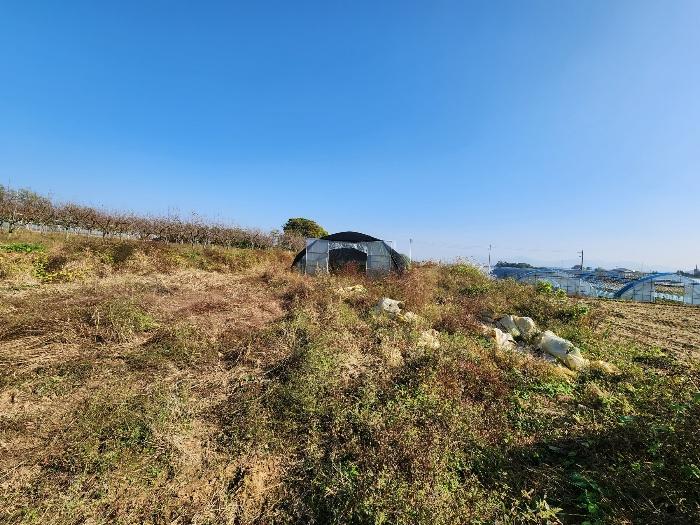 충남 당진시 합덕읍 대합덕리 501-2 전 사진 3