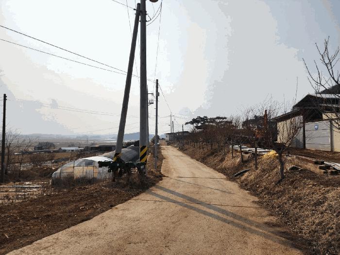 2025타경50958 법원경매 사진11 | 충남 당진시 임야 경매
