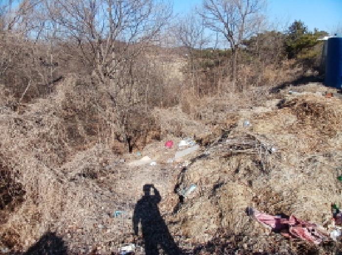 2025타경50958 법원경매 사진13 | 충남 당진시 임야 경매