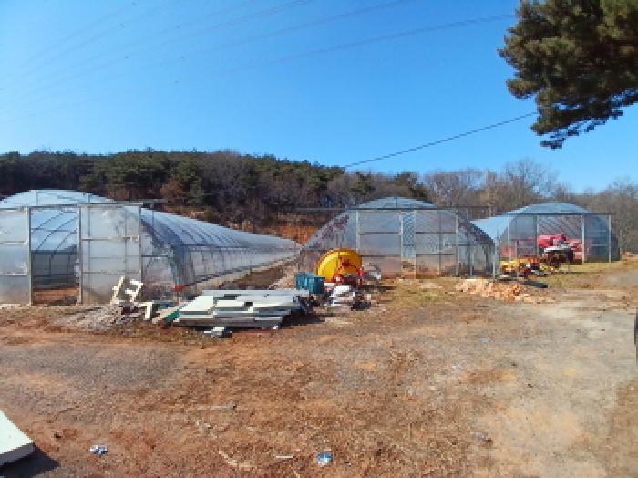 2025타경50958 법원경매 사진14 | 충남 당진시 임야 경매
