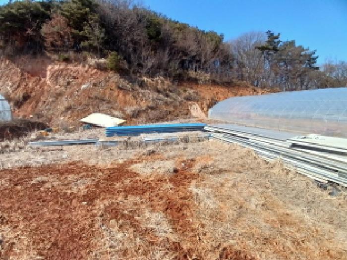 2025타경50958 법원경매 사진18 | 충남 당진시 임야 경매