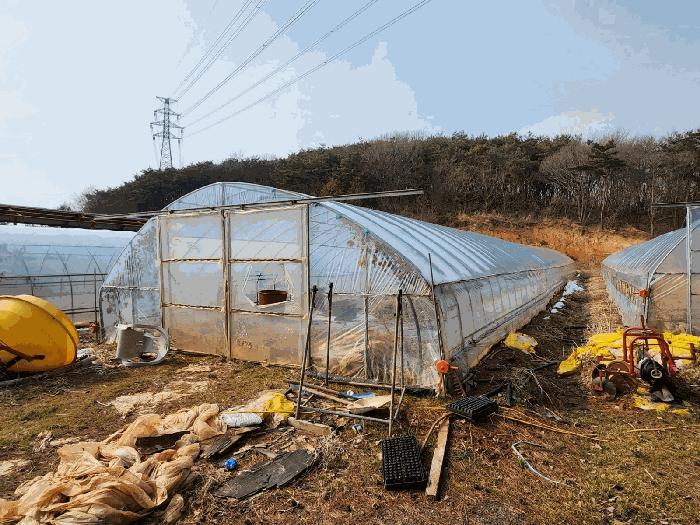 2025타경50958 법원경매 사진2 | 충남 당진시 임야 경매