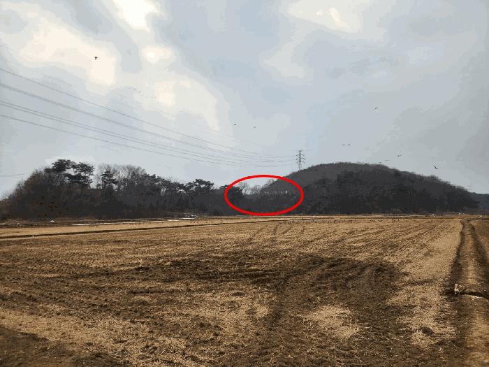 2025타경50958 법원경매 사진4 | 충남 당진시 임야 경매