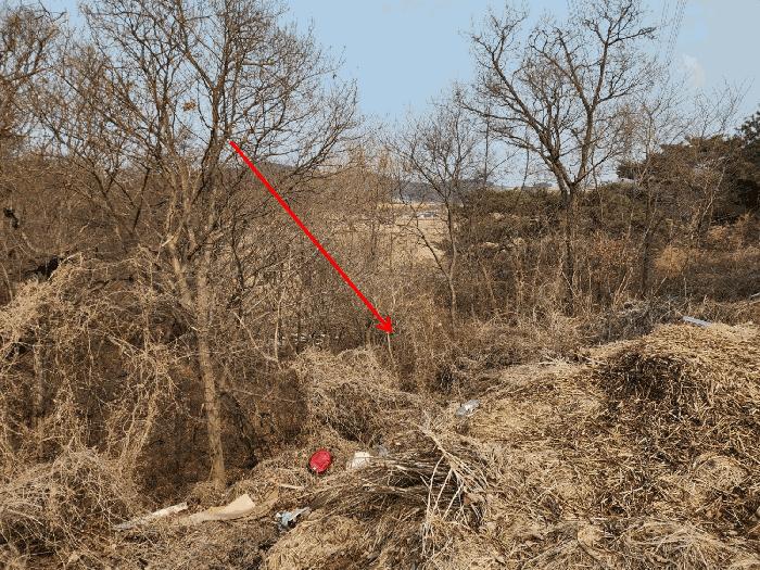2025타경50958 법원경매 사진6 | 충남 당진시 임야 경매