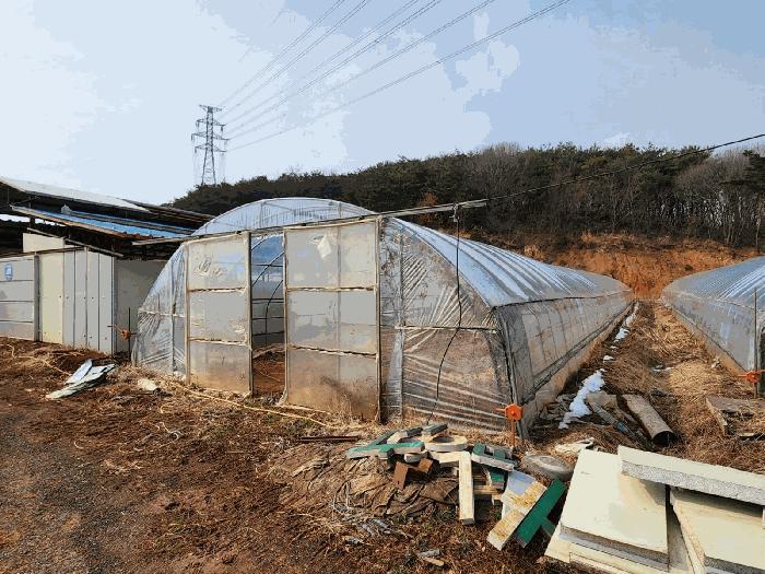 2025타경50958 법원경매 사진7 | 충남 당진시 임야 경매