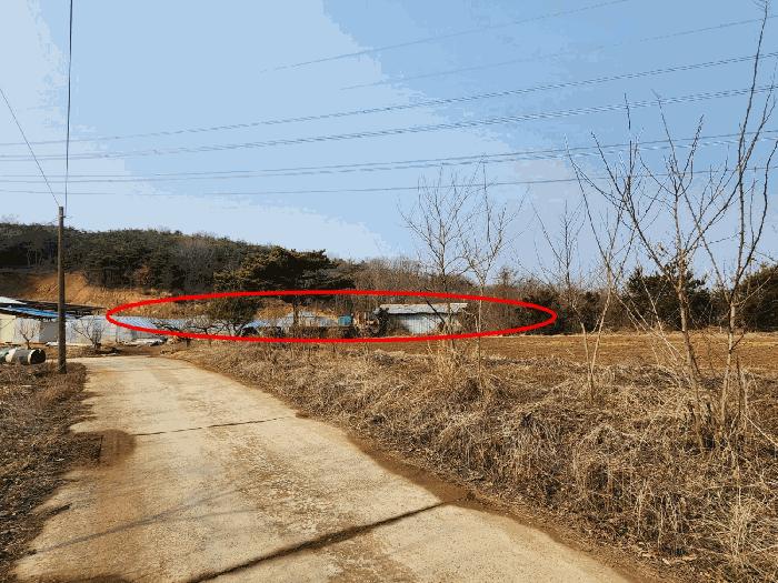 2025타경50958 법원경매 사진8 | 충남 당진시 임야 경매