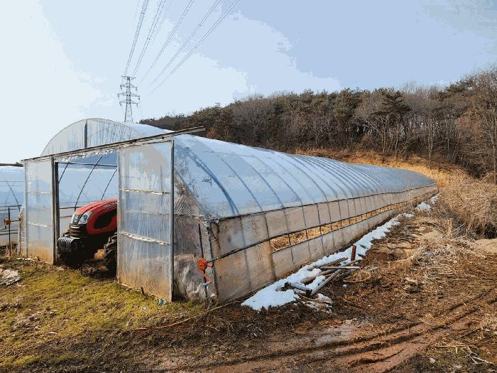 2025타경50958 법원경매 사진9 | 충남 당진시 임야 경매
