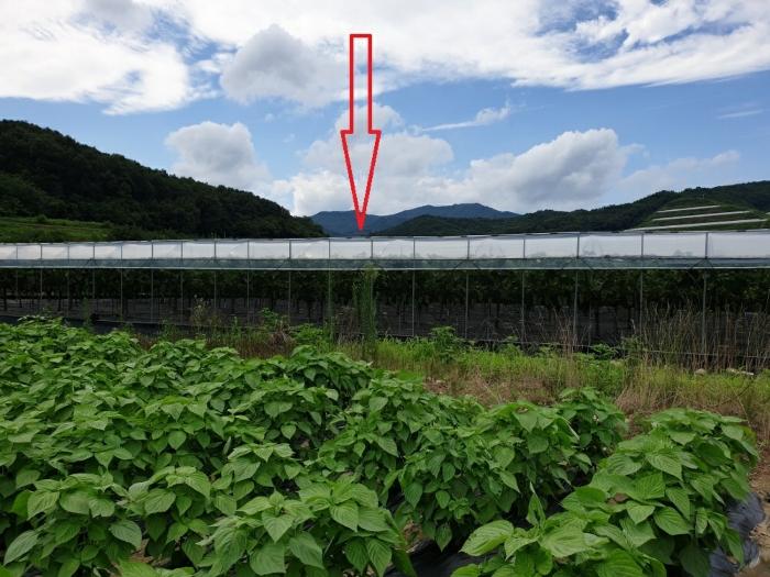 경상북도 김천시 어모면 옥계리 363 법원경매 물건 대표사진