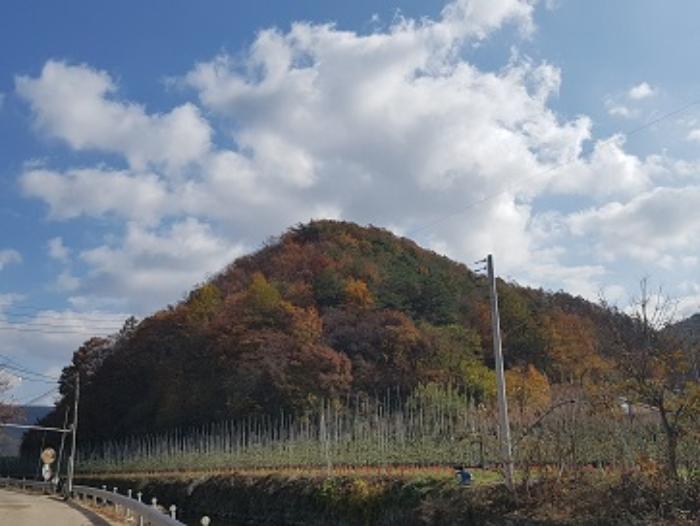 경상북도 청송군 현동면 눌인리 산103-1 법원경매 물건 대표사진