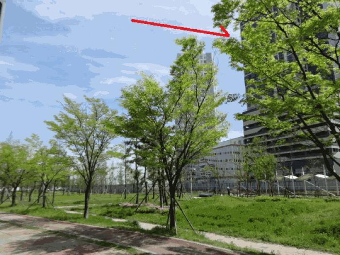 법원경매 2025타경52101 사진32 | 안산시 단원구 성곡동 845-5 근린상가 경매