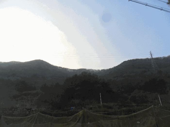 2024타경106316 법원경매 사진10 | 창원 마산합포구 임야 경매