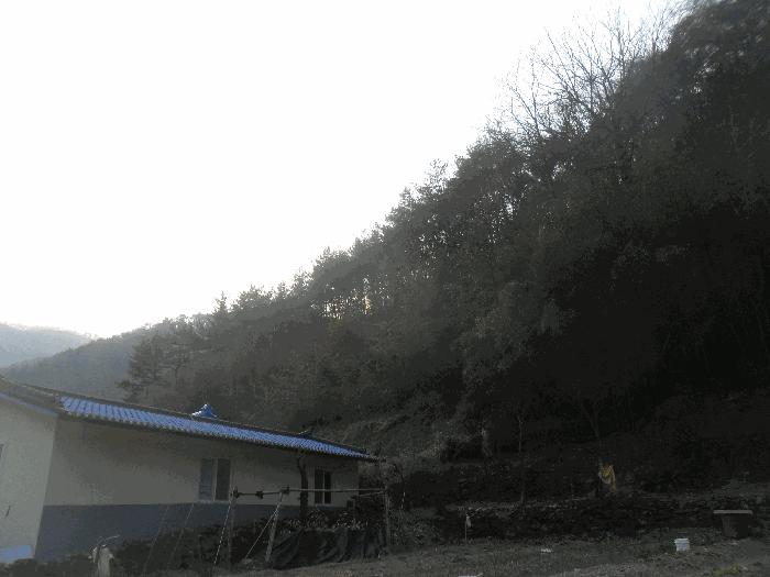2024타경106316 법원경매 사진6 | 창원 마산합포구 임야 경매