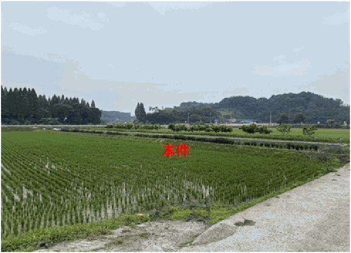 법원경매 2025타경238 사진4 | 함안군 법수면 주물리 111-2 답 경매