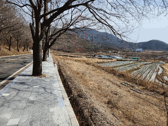 대구광역시 달성군 유가읍 쌍계리 579 법원경매 물건 대표사진