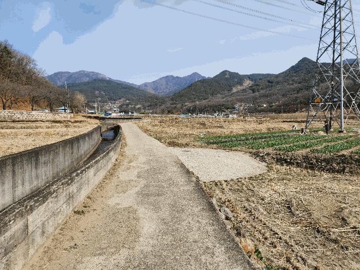 법원경매 2025타경31028 사진5 | 대구 달성군 유가읍 쌍계리 579 답 경매