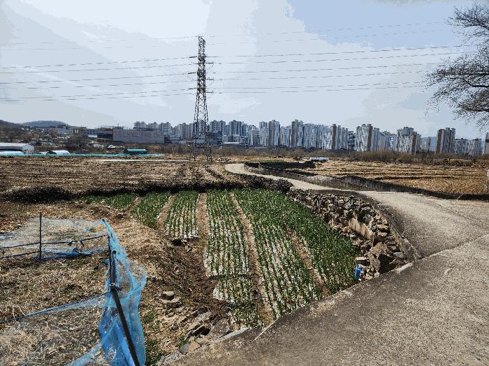법원경매 2025타경31028 사진7 | 대구 달성군 유가읍 쌍계리 579 답 경매