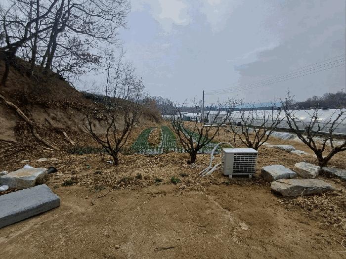법원경매 2025타경31047 사진4 | 성주군 초전면 용성리 646 전 경매