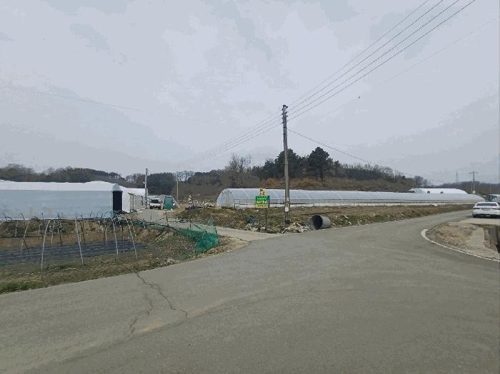 법원경매 2025타경31047 사진7 | 성주군 초전면 용성리 646 전 경매