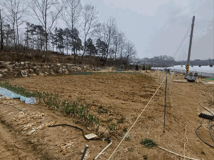 법원경매 2025타경31047 사진8 | 성주군 초전면 용성리 646 전 경매