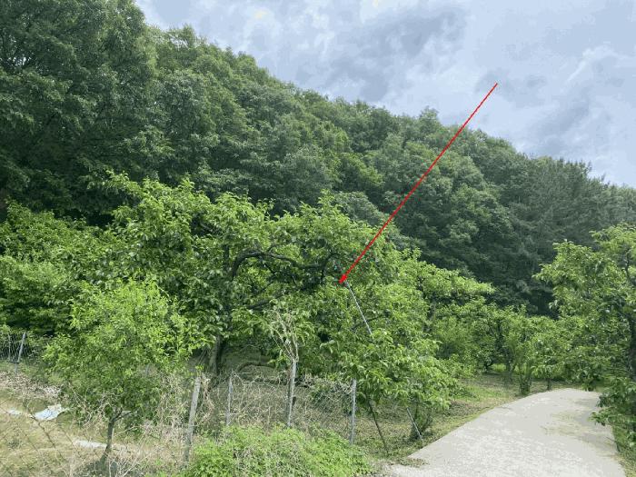 법원경매 2025타경7936 사진5 | 경산시 남산면 전 경매
