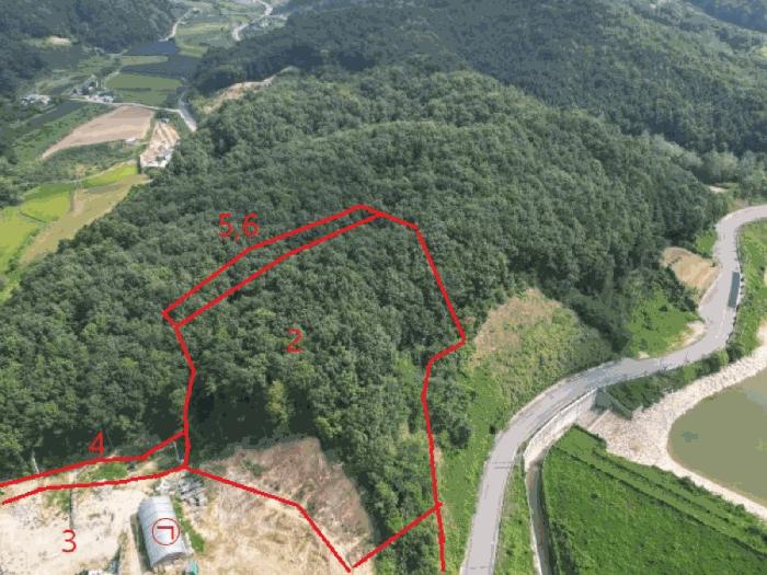 2024타경2575 법원경매 사진5 | 충북 음성군 임야 경매