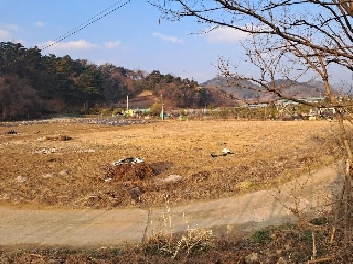 강원특별자치도 삼척시 마평동 123-8 법원경매 물건 대표사진