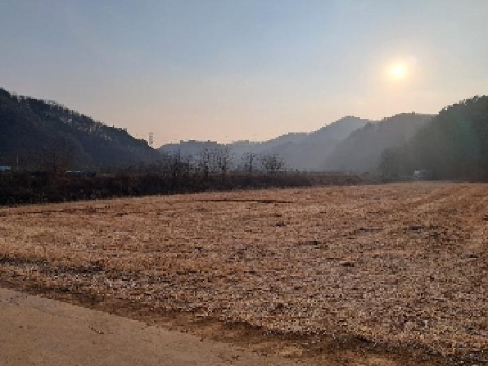 법원경매 2025타경3004 사진2 | 삼척시 마평동 123-8 임야 경매