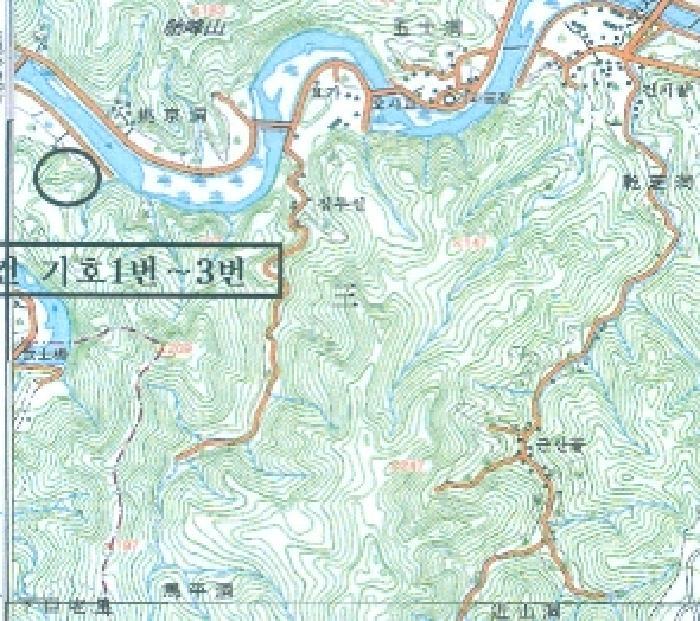법원경매 2025타경3004 사진3 | 삼척시 마평동 123-8 임야 경매