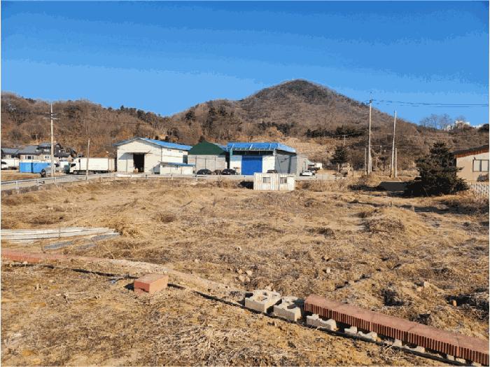 법원경매 2025타경20461 사진8 | 원주시 문막읍 건등리 369 전 경매