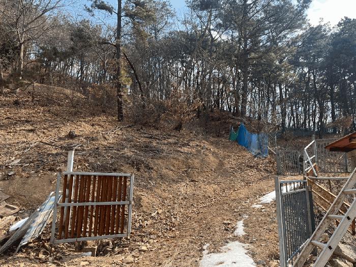 법원경매 2025타경20468 사진2 | 원주시 지정면 임야 경매