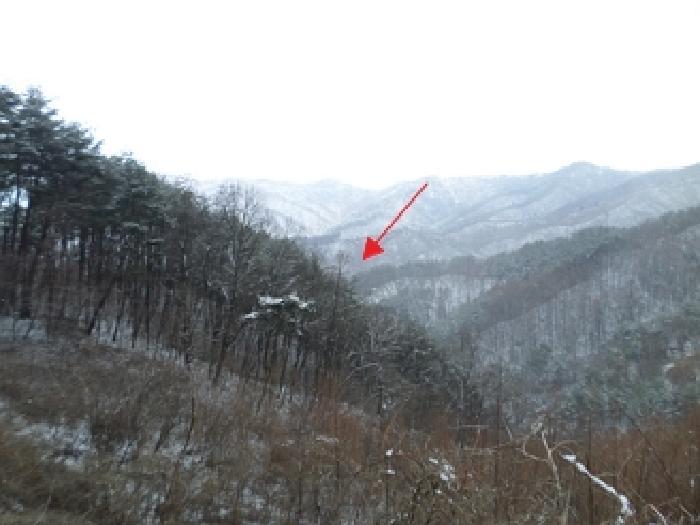 법원경매 2025타경20515 사진5 | 횡성군 강림면 월현리 임야 경매