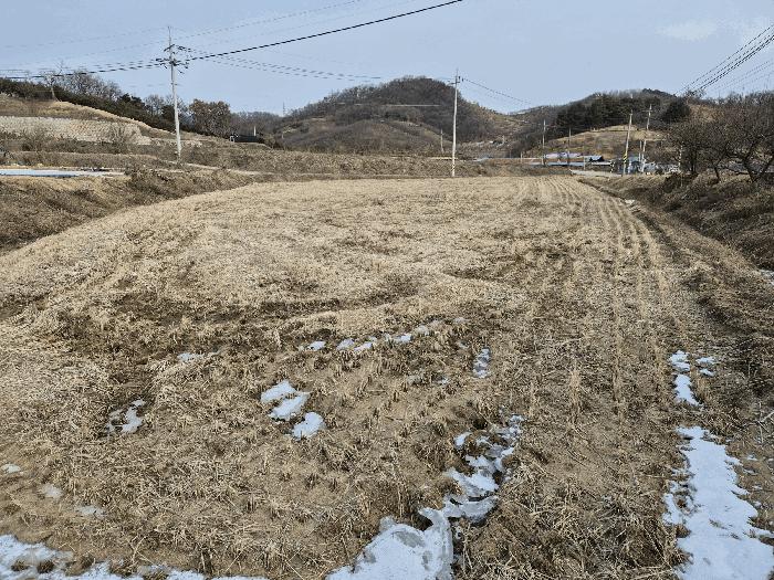 2024타경35766 법원경매 사진3 | 충북 충주시 답 경매