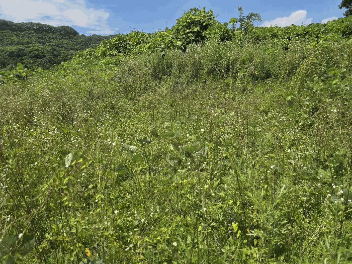충청남도 천안시 동남구 북면 납안리 121-1 법원경매 물건 대표사진