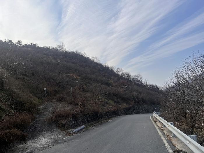 경상남도 밀양시 초동면 신월리 62-2 법원경매 물건 대표사진