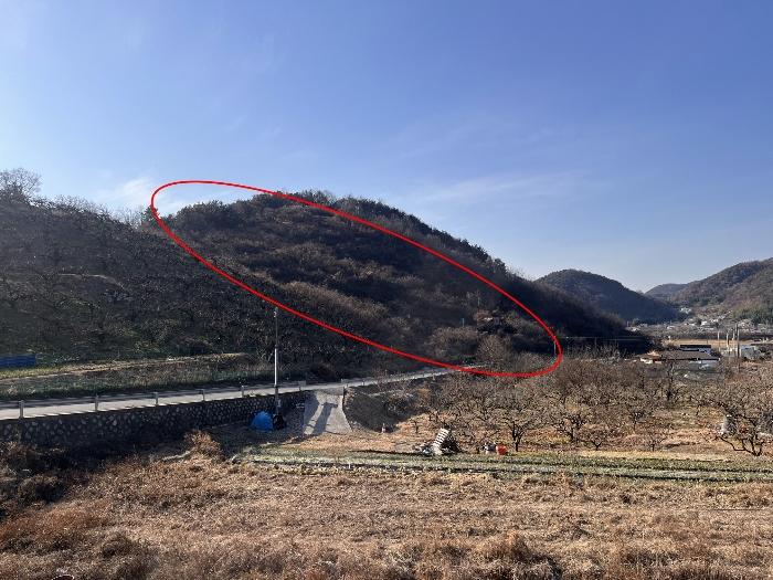 2024타경3140 법원경매 사진10 | 경남 밀양시 과수원 경매