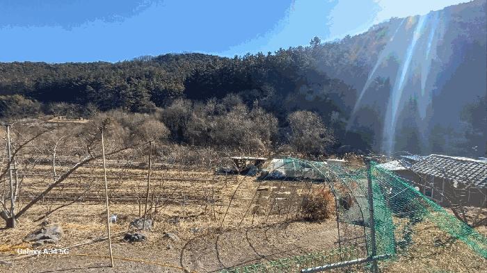 법원경매 2025타경582 사진2 | 영천시 대창면 조곡리 1115 답 경매