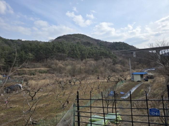 법원경매 2025타경582 사진5 | 영천시 대창면 조곡리 1115 답 경매