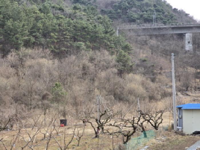 법원경매 2025타경582 사진7 | 영천시 대창면 조곡리 1115 답 경매