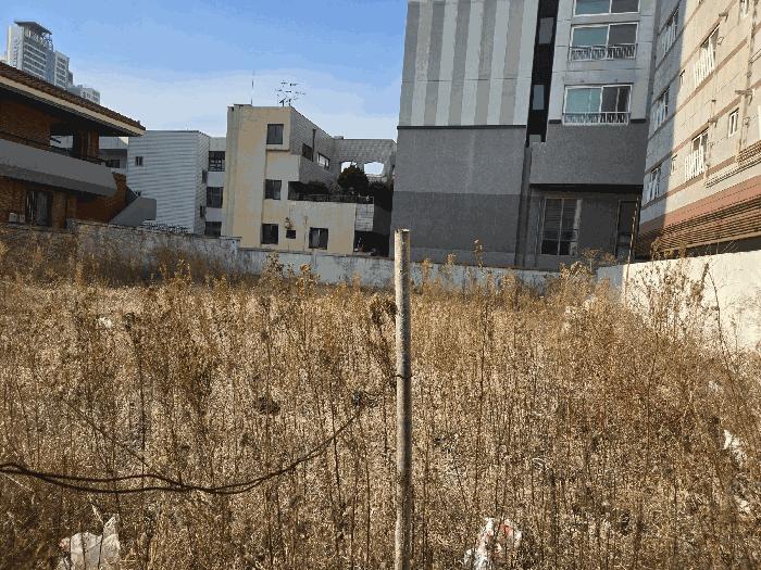 법원경매 2025타경7429 사진2 | 대구 남구 대명동 1123-1 대지 경매