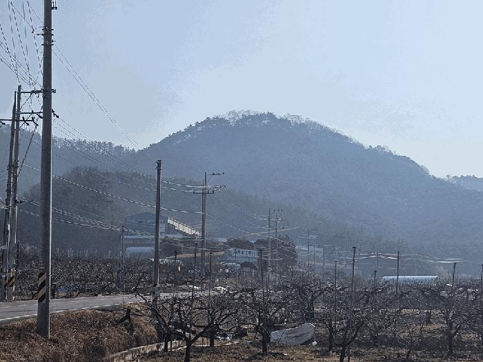 법원경매 2025타경7560 사진2 | 경산시 자인면 신관리 임야 경매